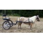Easy Entry Small Mini Horse Cart Metal Floor w/45" Shafts w/21" Solid Rubber Tires